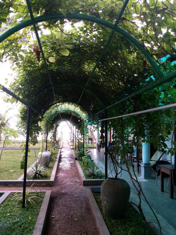 Sira'S Chalets ميريسا المظهر الخارجي الصورة
